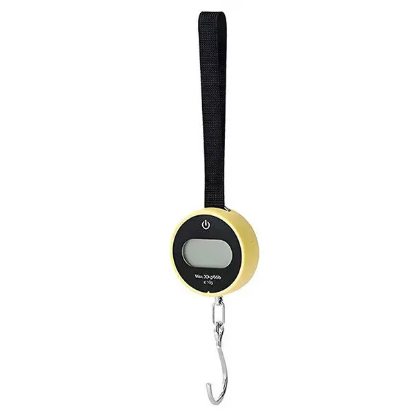 Coteci High Precision Hand-Held Scale 30kg (TR-043)