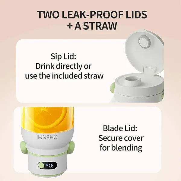 Zhenmi ZMGZ J15 Large Capacity Portable Juicer