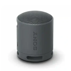 Sony SRS-XB100