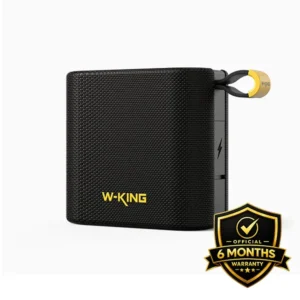 W-KING D2